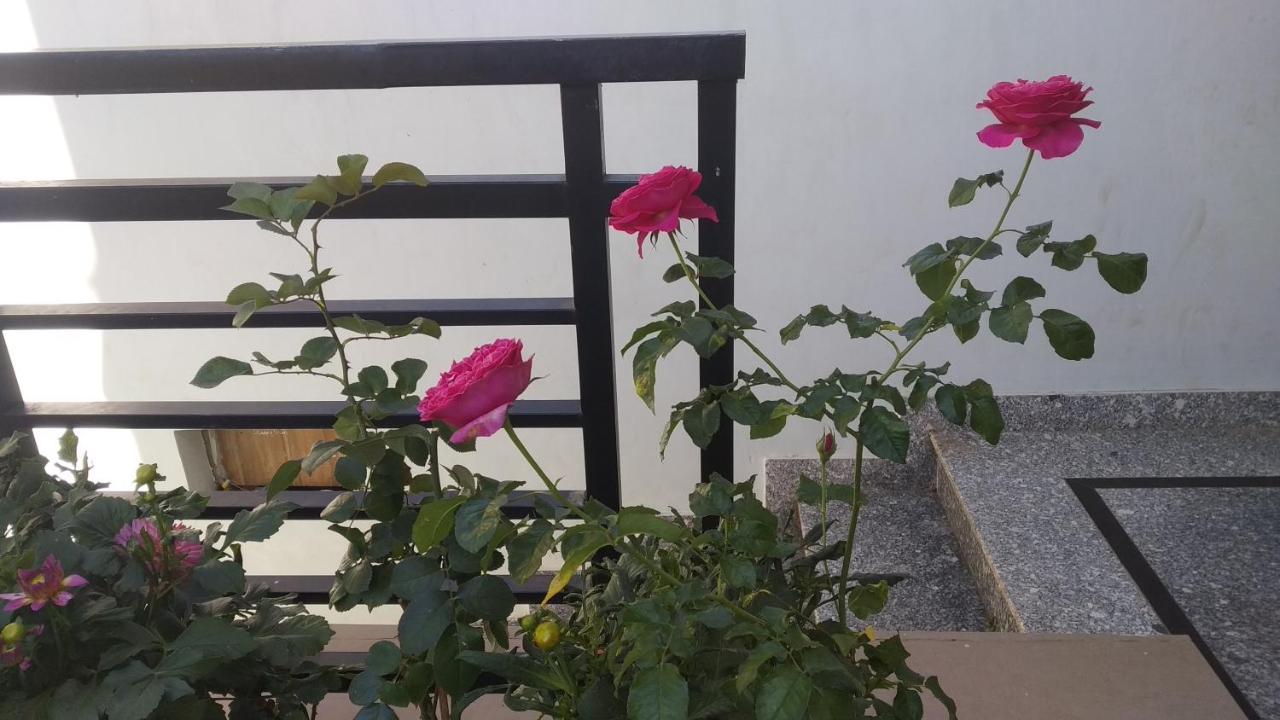 Mai DaLat Homestay Bagian luar foto